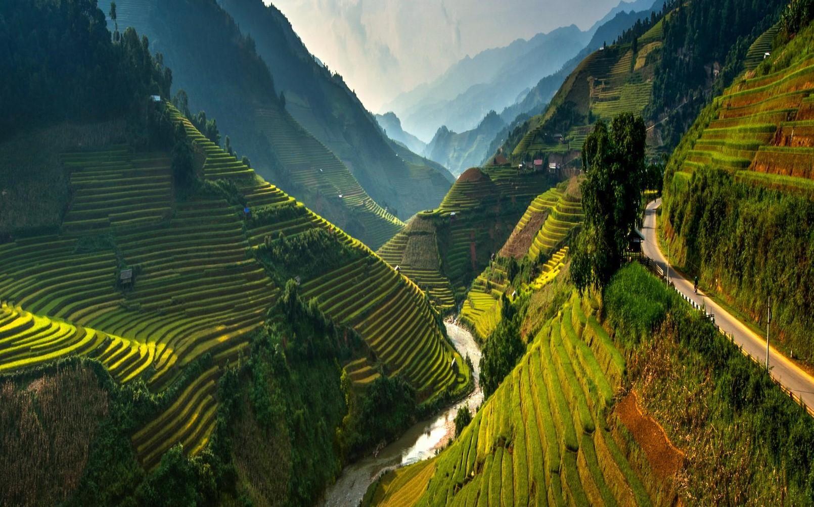 Баннер кейса